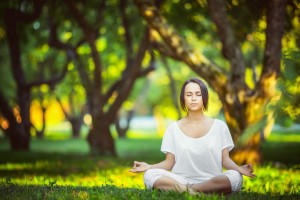 芝加哥公牛主场体育馆名字？芝加哥公牛球馆名字？