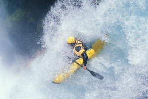 太阳队库克简介，太阳队kidd